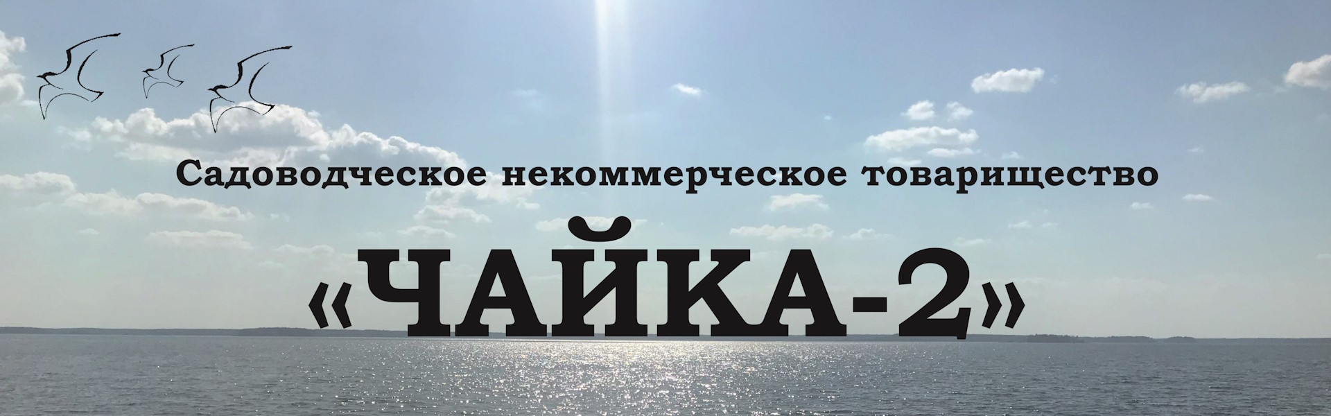 СНТ